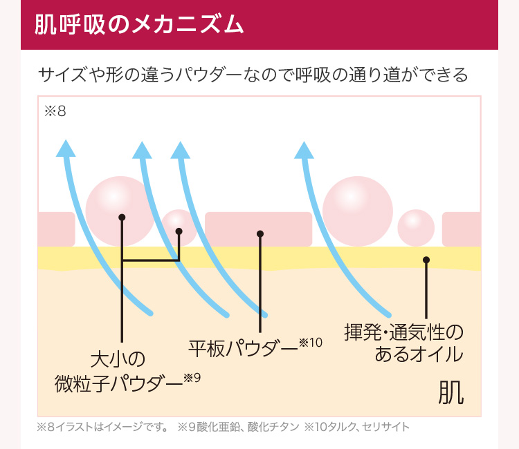 薬用クリアエステヴェール_―肌呼吸の説明